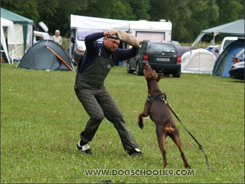 Training camp - Lukova 2007